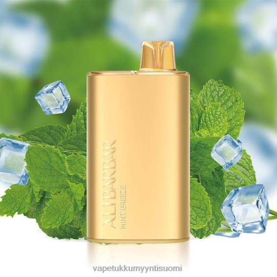 E Liquid Wholesale - Alibarbar Rich 8000 kertakäyttöinen vape minttu tuulta 6DJ068