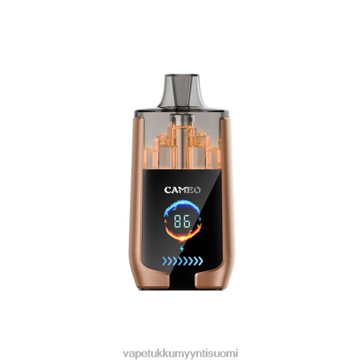 E Liquid Wholesale - LAVIE CAMEO 30 000 suihketta kahvi jää 48HJT18