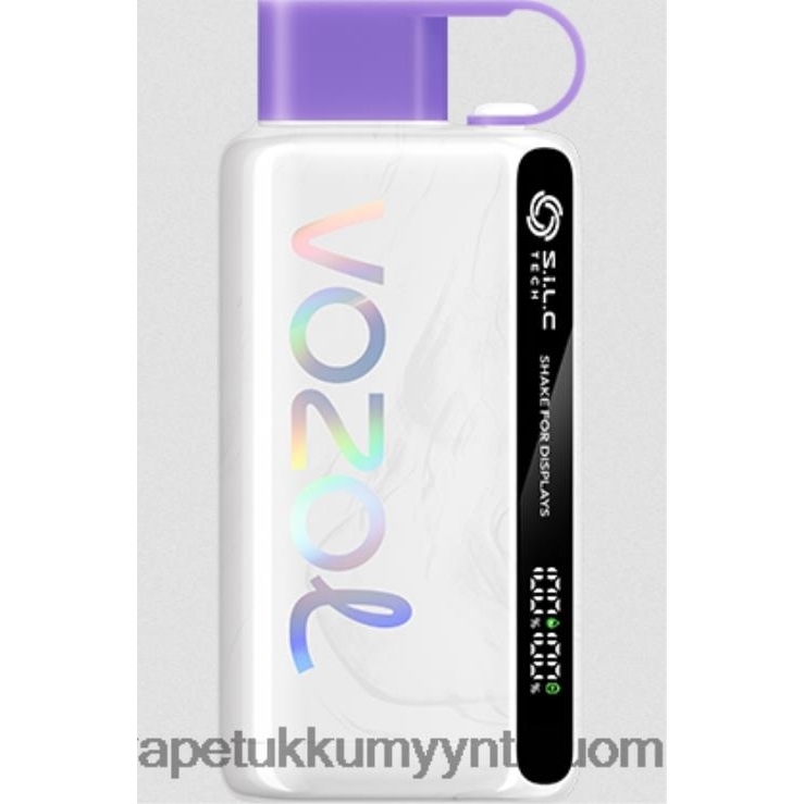 vape wholesale helsinki 662RF13 rypäleen jäätä VOZOL STAR 9000/12000 5 %